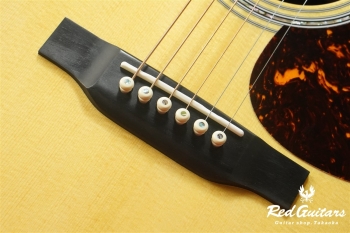 D-41 Standard